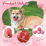Valentine's Day Squeaky Tennis Balls for Dogs