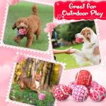 Valentine's Day Squeaky Tennis Balls for Dogs