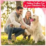 Valentine's Day Squeaky Tennis Balls for Dogs