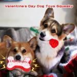 Valentine's Day Squeaky Pet Toy 3-Pack Set