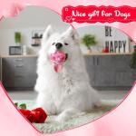 Valentine's Day Squeaky Tennis Balls for Dogs