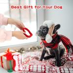 Valentine's Day Squeaky Pet Toy 3-Pack Set