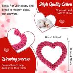 Valentine's Day Heart Dog Rope Chew Toy