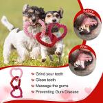 Valentine's Day Heart Dog Rope Chew Toy