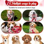 Valentine's Day Heart Dog Rope Chew Toy