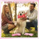 Valentine's Day Dog Squeaky Bone Toy Set