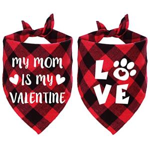 Valentine's Dog Bandanas Set - Love Theme