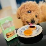 All-Natural Dog Macarons - Strawberry Flavor Treats