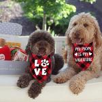 Valentine's Dog Bandanas Set - Love Theme