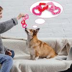 Valentine's Day Heart Shaped Dog Chew Toy