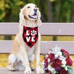 Valentine's Dog Bandanas Set - Love Theme