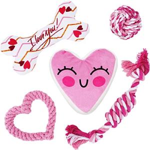 Valentine's Day Dog Toy Kit - 5 Pack