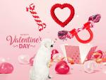 Valentine's Day Dog Rope Toys - 3 Pack