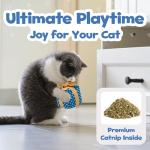 Catnip Gift Box Toy for Indoor Cats
