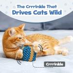 Catnip Gift Box Toy for Indoor Cats