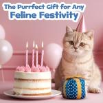 Catnip Gift Box Toy for Indoor Cats