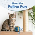 Catnip Gift Box Toy for Indoor Cats