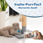 Catnip Gift Box Toy for Indoor Cats