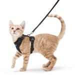 Adjustable Breathable Cat Harness with Leash, Reflective