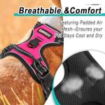 BARKBAY Adjustable No Pull Dog Harness for Pink