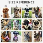 Comfortable No-Pull Mesh Dog Harness for Puppies