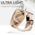 Comfortable No-Pull Mesh Dog Harness for Puppies