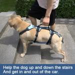Coodeo Dog Lift Harness for Recovery and Support