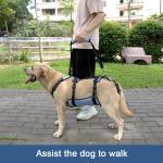Coodeo Dog Lift Harness for Recovery and Support