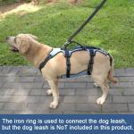Coodeo Dog Lift Harness for Recovery and Support