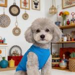 Breathable Summer Dog Shirts for Small Pets