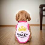 Cute Summer Dog T-Shirts for Small Pets - 4 Pack