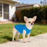 Breathable Summer Dog Shirts for Small Pets