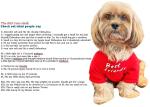 Cute Dog T-Shirt for Small and Medium Dogs