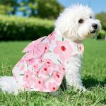 Floral Dog Dress for Summer Fun