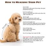 Hawaiian Costume Set for Small to Medium Pets