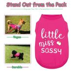 Sassy Little Miss Sleeveless Dog Shirt