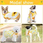 Cute 4-Piece Dog Clothes Set with Dresses and Tees