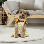 Cute 4-Piece Dog Clothes Set with Dresses and Tees