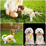 Cute 4-Piece Dog Clothes Set with Dresses and Tees