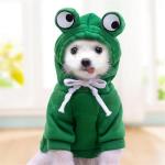 Cute Fruit Fleece Dog Hoodie for Winter
