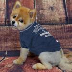 Dallas Cowboys Dog T-Shirt - Medium Size