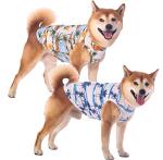 Cool Hawaiian Dog Shirts for Small Dogs