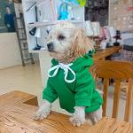 Frog Shaped Dog Hoodie for Cold Weather