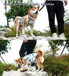 Cool Hawaiian Dog Shirts for Small Dogs