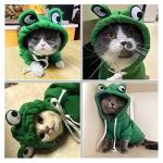 Frog Shaped Dog Hoodie for Cold Weather