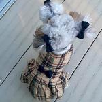 PUPTECK Classic Plaid Dog Dress for Medium Dogs