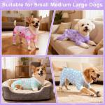 Bienbee Cute Dog Pajamas – 4 Pack Outfit