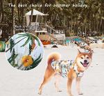Cool Hawaiian Dog Shirts for Small Dogs