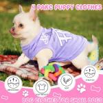 Cute Pink Dog Clothes Set for Small Dogs