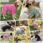 Bienbee Cute Dog Pajamas – 4 Pack Outfit
